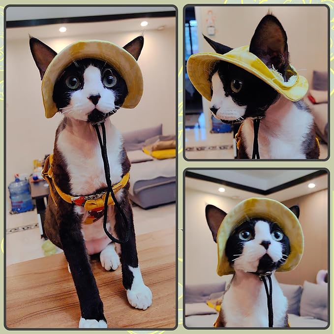 DENTRUN Cat Bucket Hat with Ear Hole, Cotton Birthday Bonnet for Small Pets | Breathable cotton, Adjustable Secures fit, For birthday Party, For small cats, daily cute photos
