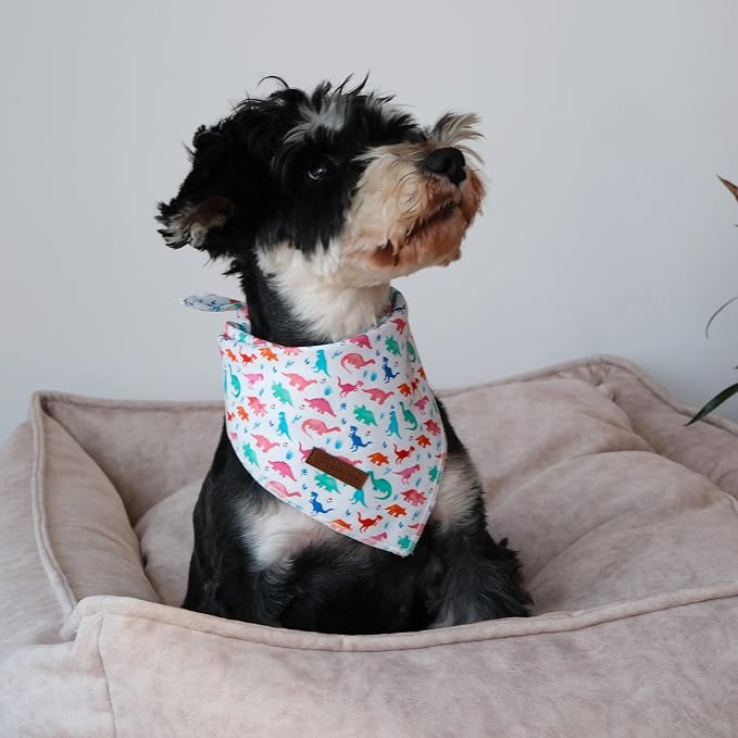 Dinosaur Dog Bandana, Comfortable Cotton Triangle Bid Scarf for Puppy Small Dogs or Cats, Washable Pet Kerchief for Boy Girl Dogs, Colorful Dinosaur Cute Bandana Dog