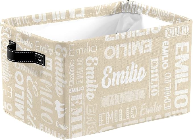 Personalized Toy Box Storage Bins for Boys Girls with Name, Kids Custom Storage Basket Cubes Organizer with Handles, Shelf Closet Storage Baskets Bin Customized Gift, 1 Pack