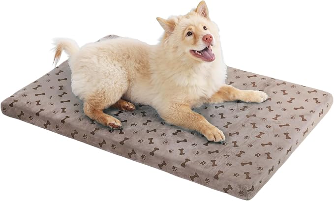 Fancy Dog Bed Mat Cute Dog Crate Pad, Reversible ＆ Machine Washable, Small to XXX-Large Dogs,Bones, Cat Claws (Brown, Large(36x24in))