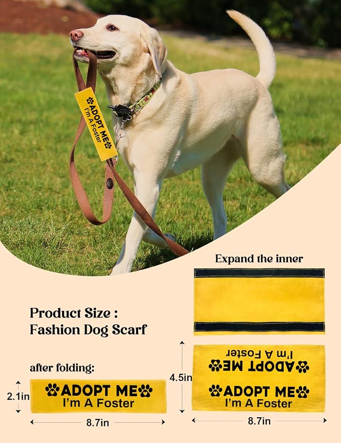 Adopt Me I’m A Foster Dog Leash Sleeve - Funny Yellow Alert Wrap with Hanging ID Patch | No Pet Leash Accessory, Perfect Pet Birthday Gift for Dog Owners