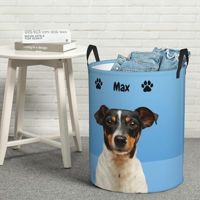 Personalized Large Dog Toy Storage Basket Bin Collapsible Custom Pet Stuff Box Chest Container for Living Room Organizer for Dog Toys,Dog Food,Blankets,Clothing (PowerBlue)