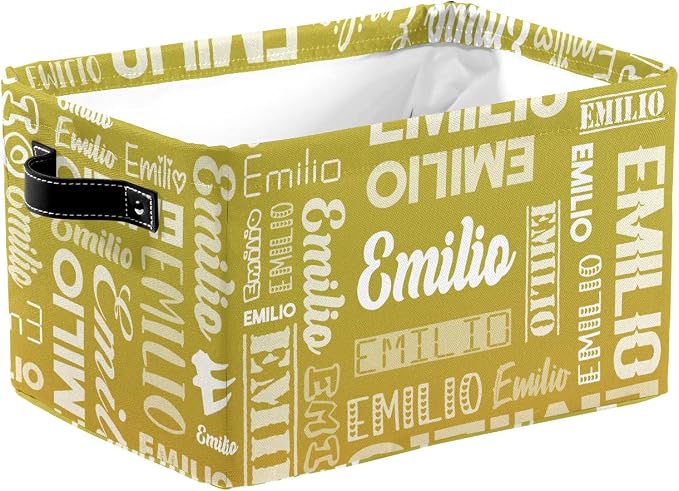 Personalized Toy Box Storage Bins for Boys Girls with Name, Kids Custom Storage Basket Cubes Organizer with Handles, Shelf Closet Storage Baskets Bin Customized Gift, 1 Pack
