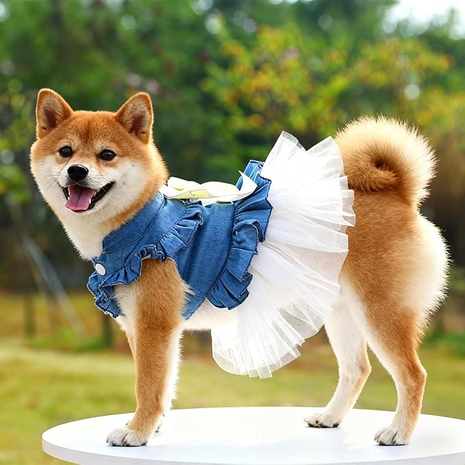 Dog Cat Denim Tutu Dress, Princess Puppy Kitten Outfit with Pearl Bow & Stand-Up Collar, Sleeveless Pet Clothes for Wedding Birthday Party, Easy Front Snap Closure for Chihuahua(White-Denim, Small)