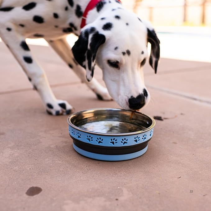 Loving Pets Corsa Dog Bowls- Stainless Steel Dog & Cat Bowls - Spill Proof Dog Food Bowl, Cat Bowl, Puppy Essentials & Pet Supplies Great for Home & Travel (Small 10-20 lbs, Rapid Blue)