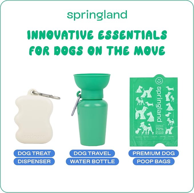 Springland Silicone Dog Training Treat Pouch for Leash, Oat | One-hand squeeze dispenser, food-grade silicone, BPA-free, carabiner included, easy-fill holder for rewards on the go
