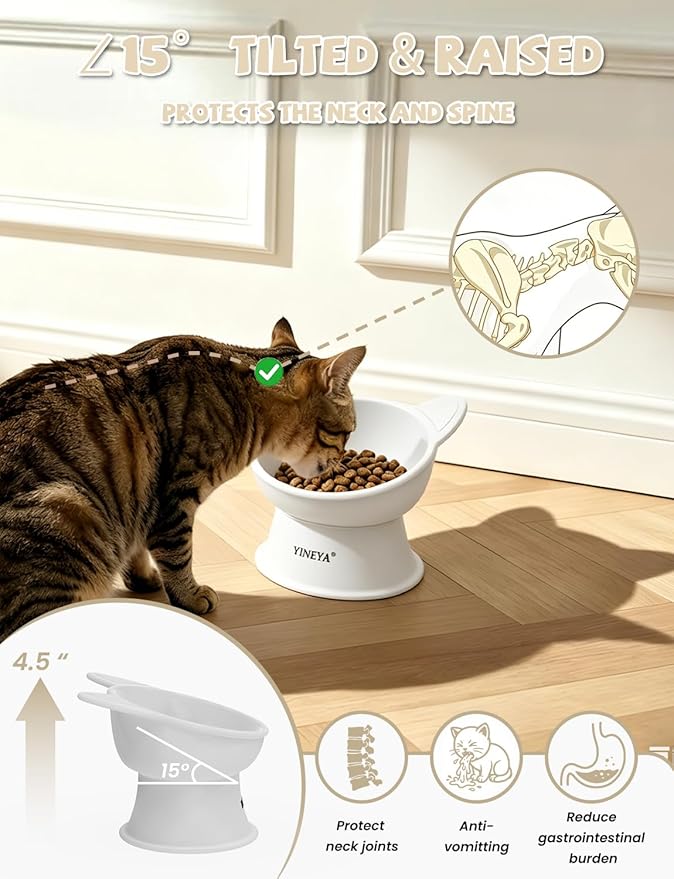 YINEYA Cat Bowls, Cat Food Bowl Elevated to Protect Neck & Anti-Vomit, Whisker-Friendly Raised Food & Water Bowls for Indoor Cats/Small Dogs, Cute Pet Feeding Bowl 6 OZ Each, Dishwasher Safe, White