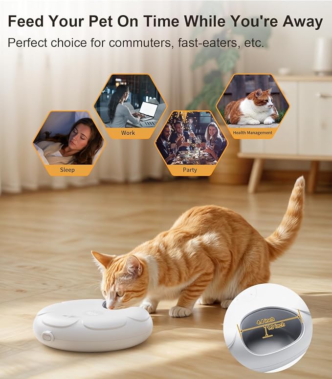 Casfuy Automatic Cat Feeder Cordless - Automatic Cat Food Dispenser for Wet Moist Food with 4 Ice Packs Rechargeable Auto Feeder for Cats Small Dogs with Programmable Timer Low Battery Indicator