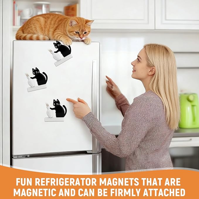 3 Pcs Cat Whiskers Keepsake Holder, Magnet Acrylic Pet Memorial Decor Refrigerator, Cute Desk Wall Decor Cat Fur Holder (Black)