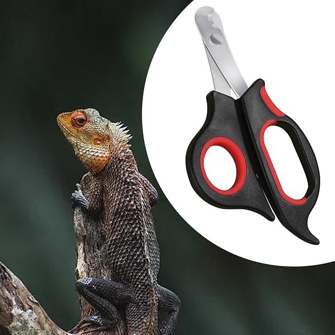 KEUYE Bearded Dragon Nail Clippers,Stainless Steel Bearded Dragon Toe Nail Clippers with Precise Angled Edges (Reddish Black)