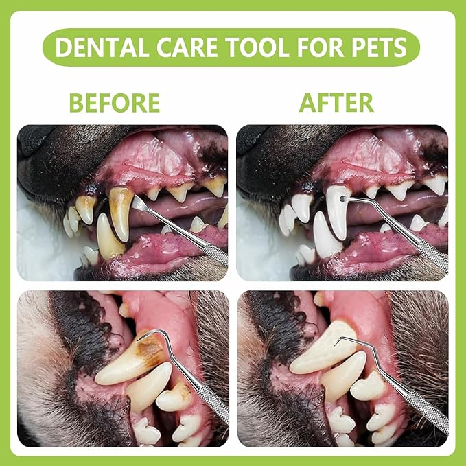 8 Pcs Dental Tools Pet Dog Teeth Cleaning Tool Kit, Stainless Steel Dental Picks Mouth Mirror Tooth Scraper Plaque Tartar Remover, Pets Oral Care Hygiene Set for Dogs and Cats Use with Case