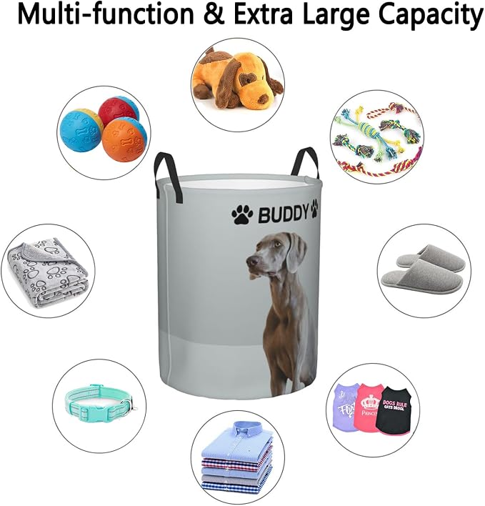 Personalized Large Dog Toy Storage Basket Bin Collapsible Custom Pet Stuff Box Chest Container for Living Room Organizer for Dog Toys,Dog Food,Blankets,Clothing (Grey)
