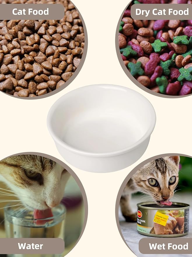 GDCZ Elevated 15 Oz Ceramic Double Cat Bowls with 11.6x2.5 Inch Stand (White)