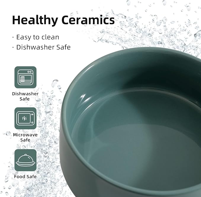Havniva Raised Cat Bowl 6.1” Elevated Ceramic Cat Food and Water Bowl | Cat Bowls Elevated, Whisker Friendly Cat Bowl, Non-Slip Wood Stand, Food-Grade Ceramic, Wide Opening, Dishwasher Safe