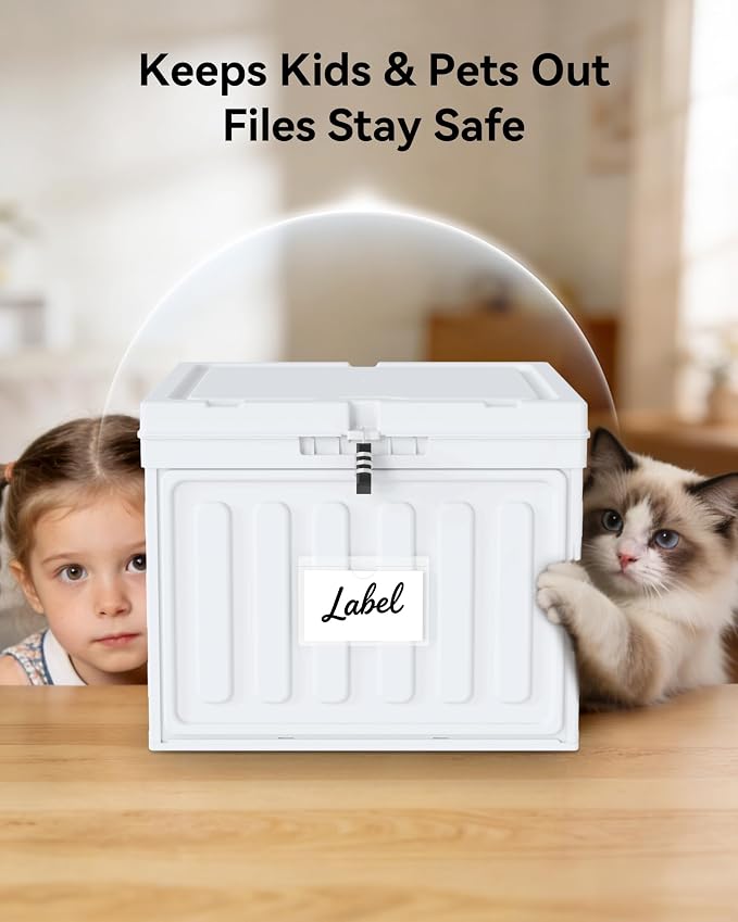 Oterri Lockable Plastic File Box with Lid for Letter-Size | Hanging File Folders Not Included. White, Large 1-Pack. Home, Office, Classroom, Dorm, Tax, Under Bed, Filing Cabinet.