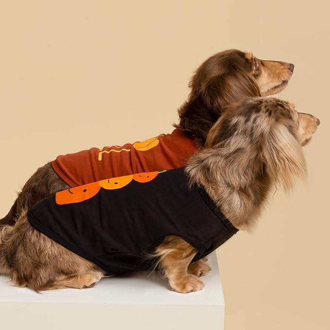 Fitwarm Thanksgiving Triple Pumpkins Dog Shirt, Fall Dog Clothes for Small Dogs Boy Girl, Funny Doggy Tshirt, Pet Outfit, Black, Orange, Large