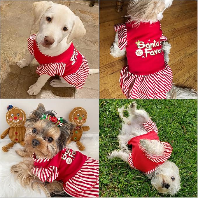 Dog Christmas Dress for Small Dogs,Puppy Costumes Pet Clothes Holiday Girl Dogs Shirt with Santa's Favorite Pattern,Party Dog Vest Dresses Cat Apparel Sweater Warm Skirt