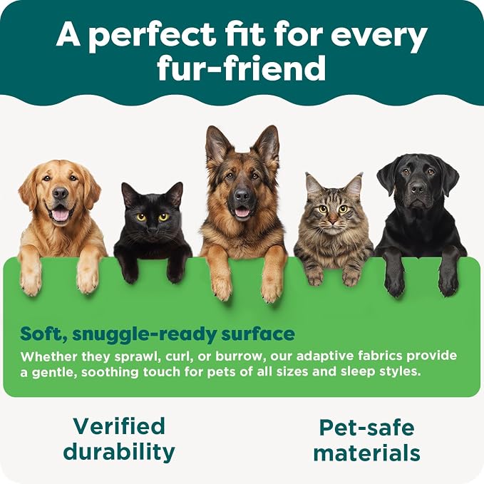 Furhaven Elevated Dog Bed Frame for 30" x 20" Medium Dog Beds, Easy Assembly - Mid-Century Modern Bed Frame - Gray Wash, Medium