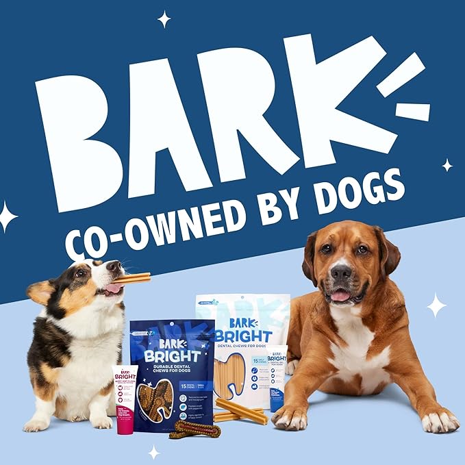Barkbox Bright Original Dog Dental Kit, 30 Teeth Cleaning Chew Sticks & Toothpaste - Medium Breeds