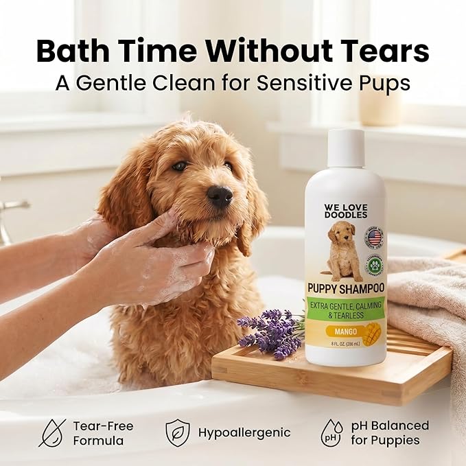 Puppy Shampoo & Conditioner | Made in USA | Tear Free | Best Shampoo for Puppies | Sensitive & Itchy Skin Wash | Oatmeal Bathing | Tearless, Mango, 8oz [We Love Doodles]