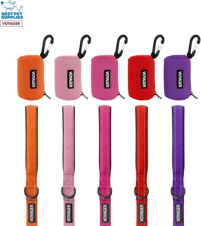 Best Pet Supplies Dog Poop Bag Holder Leash Attachment with Reusable Dispenser for Travel, Walking, Park, and Outdoor Use, Durable with Clip-On - Red, Pack of 2, Mesh Dispenser w/30 Bags