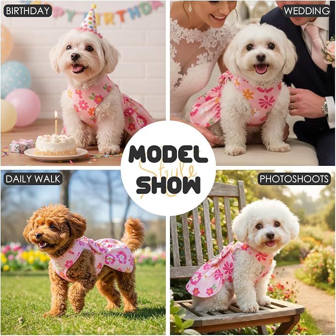Dog Dress Harness Dresses Leash Set for Small Dogs Cute Girl Dog Clothes with Bowknot Puppy Outfits for Shih Tzu Yorkies Chihuahua