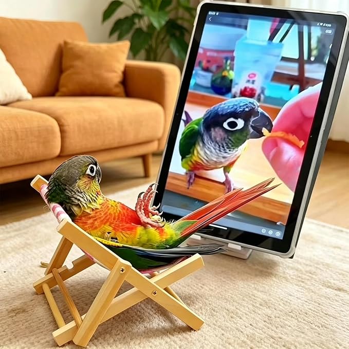 Small Pet Lounge Chair Recliner – Habitat Furniture Decor | | Mini Wooden Resting Bed For Guinea Pigs, Hamsters & Bunny; Cute Cage Accessary & Lounge Sofa For Small Animal Enclosure