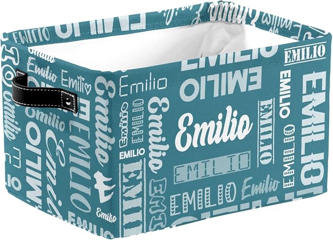 Personalized Toy Box Storage Bins for Boys Girls with Name, Kids Custom Storage Basket Cubes Organizer with Handles, Shelf Closet Storage Baskets Bin Customized Gift, 1 Pack