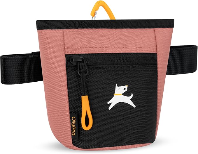 OllyDog, Goodie Treat Bag, Dog Treat Training Pouch | Magnetic Closure | 3 Ways to Wear | Hands-Free Waist Belt | Water-Resistant Recycled Vegan Fabric (Desert)