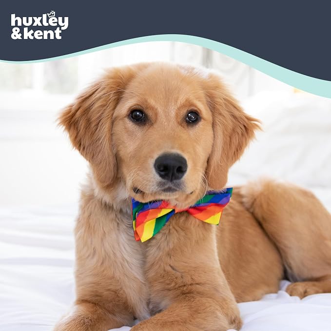 Huxley & Kent Pet Bow Tie for Dogs & Cats, Equality, Large/XLarge | Hook & Loop Attaches to Any Collar, Soft Polyester, Lightweight & Machine Washable, Perfect for Holidays & Photos