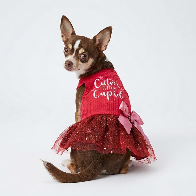 Fitwarm Cuter Than Cupid Dog Tulle Dress, Cute Girl Dog Clothes, Funny Pet Apparel, Burgundy Red, Small