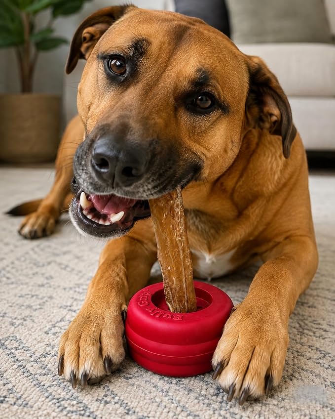 Bully Stick Holder for Dogs - Large Size - Interactive Dog Toy, Dog Treat Holder, Slow Feeder, Treat Dispenser, Chew Toy and Dog Safety Device