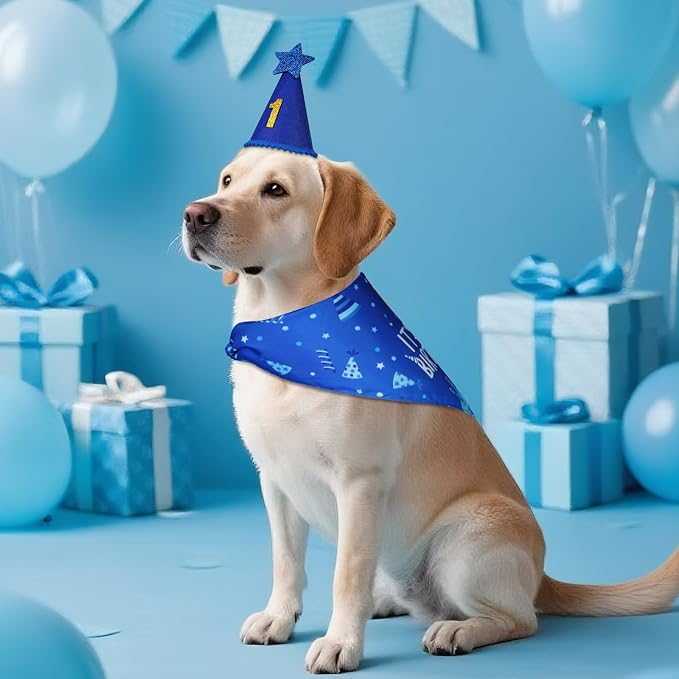 Blue Dog Birthday Party Supplies with Hat Bandana Numbers | Dog Birthday Set for Large Medium Boy Pets Puppy Cats