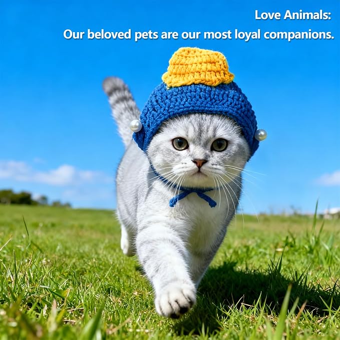 Cute Cat Hat Costume Suitable for 5 to16 lbs - Kitten hat Head Circumference 11" or Less cat Hats for Cats only pet Photography Outfits