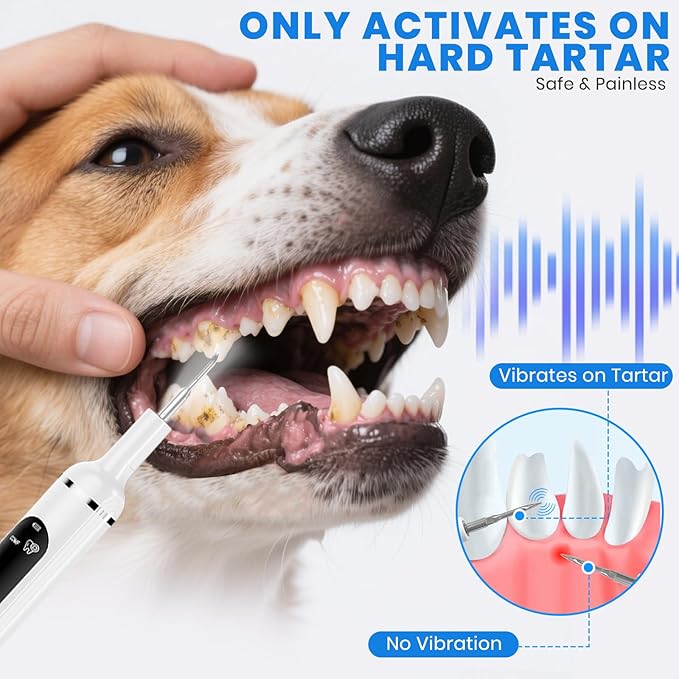Dog Plaque Remover for Teeth,Pet Tooth Cleaner with LED Light,Cleaning Kit for Tartar and Stains,5 Adjustable Modes,Pet Teeth Cleaning kit,Suitable for Dogs and Cats (White)