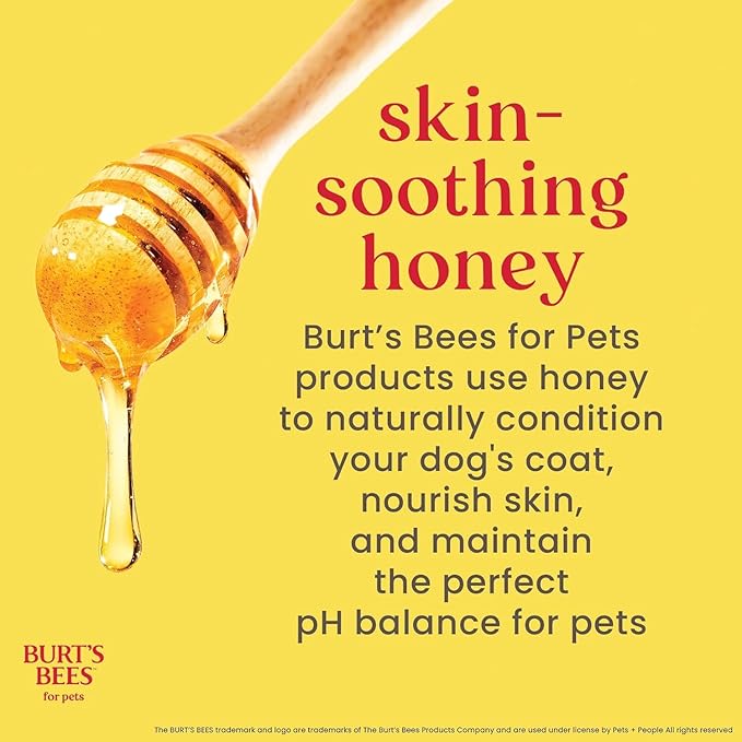 Burt's Bees for Pets Deodorizing Dog Shampoo with Apple and Rosemary, 95% Natural Origin, pH Balanced, Free of Sulfates, for Smelly Dogs, Gentle Dog Shampoo, 16 Fl Oz