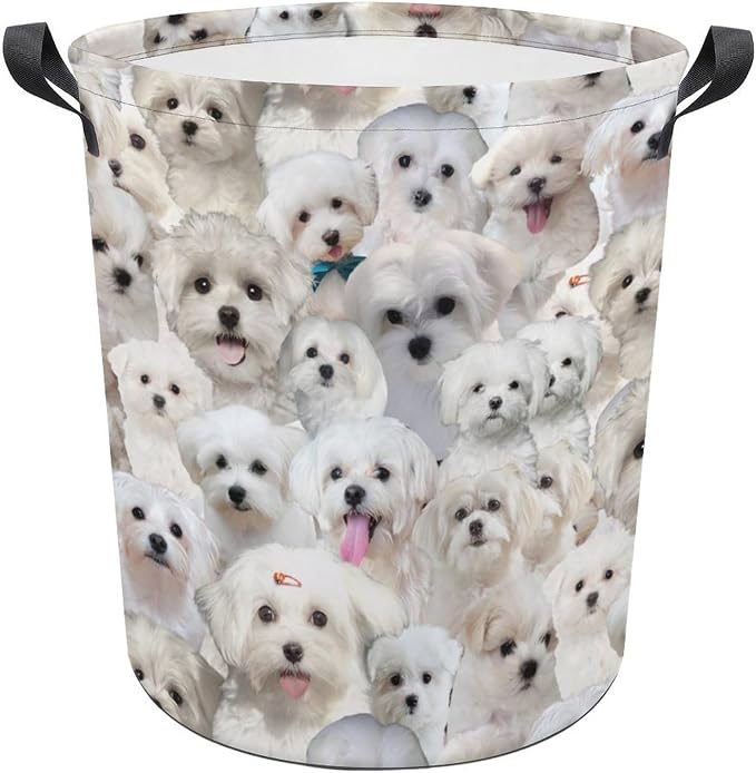 Large Laundry Hamper for Maltese Dog Lover, Cute Maltese Dog Print Laundry Basket, Collapsible Storage Bin, Waterproof Organizer for Bedroom Bathroom, Gifts for Maltese Dog Mom Owner