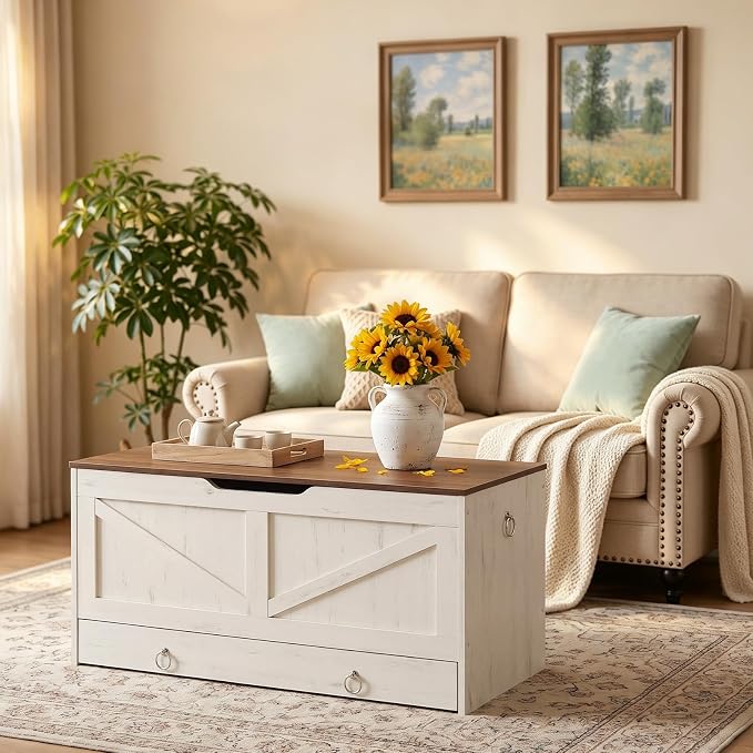 HOOBRO Storage Chest, 39.3" Toy Chest with Drawer, Wooden Storage Bench, Sturdy Entryway Bench Supports 220 lb, Safety Hinge, U-Shaped Opening, Easy Assembly, Cloud White and Walnut IH710CW01G2