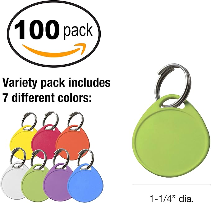 Lucky Line 1-1/4" Label It Plastic Tag, 100 Pack, Assorted Colors (25075)