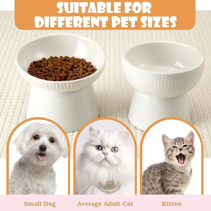 2 Pcs Cat Elevated Ceramic Bowls Raised Cat Food and Water Dishes, High Edge, Anti Vomiting Cats Feeder Bowl for Pets Kitten Puppies Dry Wet Food and Water, Dishwasher Safe