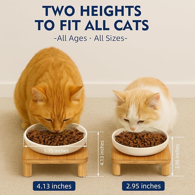 DoogCat Raised Cat Bowl, Elevated Cat Bowls with Bamboo Stand, Set of 2 | Premium Ceramic Bowls, Adjustable Height, Whisker-Friendly Design, Elevated Feeding, Easy to Clean