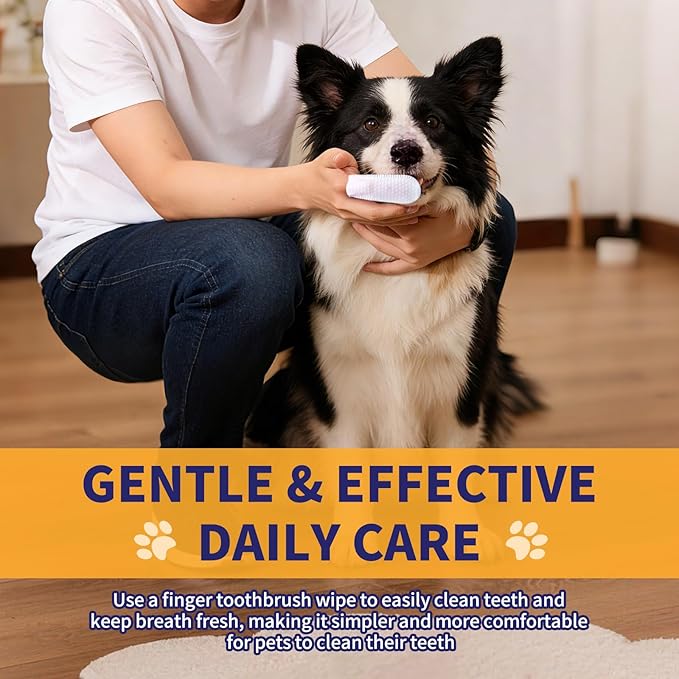 Dog & Cat Teeth Cleaning Wipes – Dog Breath Freshener & Dental Wipes for Dogs Teeth, No-Rinse Toothbrush & Toothpaste Alternative, Cat Dental Care, Puppy Tooth Brushing Kit (50 Count)