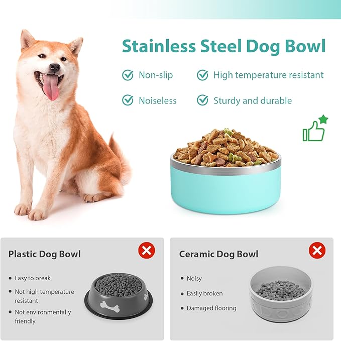 Stainless Steel Dog Bowl - Metal Water and Food Dish for Large Dogs, Insulated, Non-Slip, Easy Clean, 40oz, MintGreen