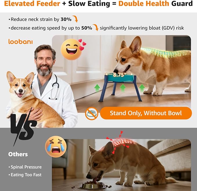 LOOBANI Elevated Dog Bowl Stand Adjustable 5.9"-8.7" Width for Seniors Dogs | for Senior & Arthritic Dogs, Reduces Neck Strain, Non-Slip Rubber Feet, Rust-Proof Stand, Easy Clean