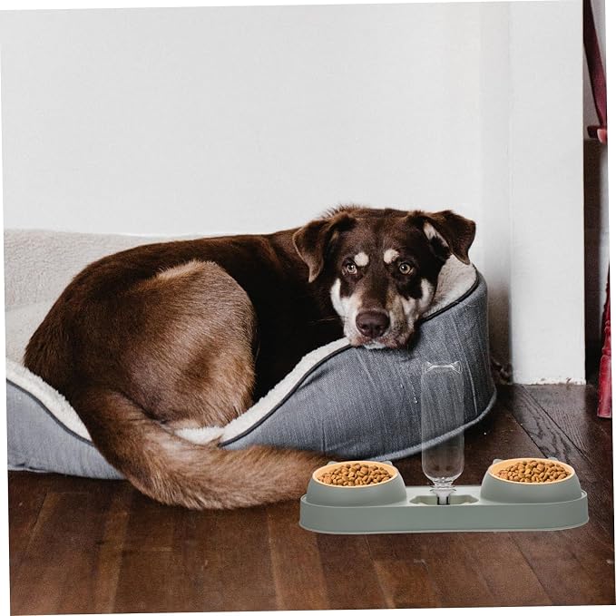 Abaodam Automatic Double Bowl Pet Feeding Device for Cats and Dogs Bite Resistant Feeder with Splash Water Dispenser Lightweight Non Tip Food and Water Bowl Stand in Random