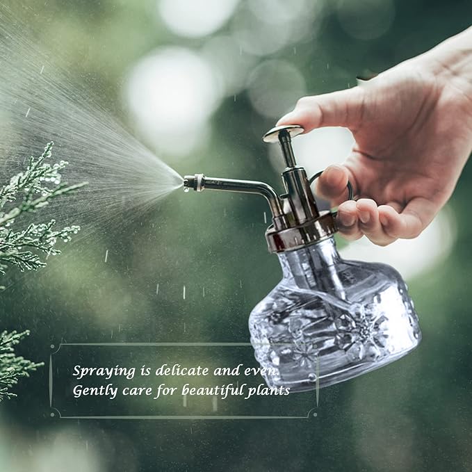 XXXFLOWER Glass Plant Mister Spray Bottle Grey 180ml/6 oz | Mini Watering Can Indoor Plants Indoor Plant Mister Succulent Watering Bottle Tall Vintage Style with Bronze Plastic Top Pum