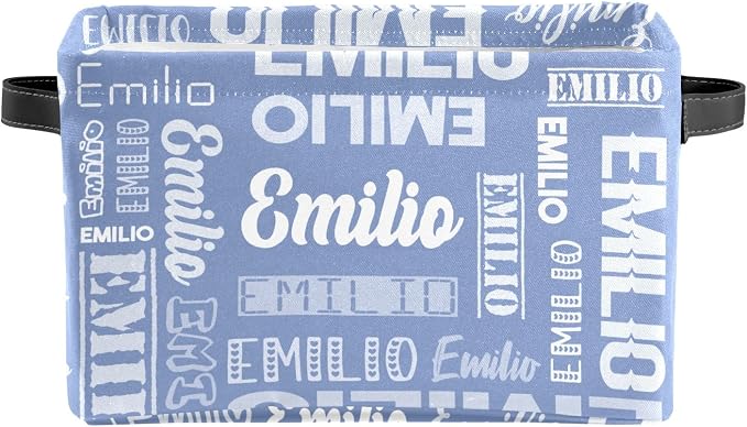 Personalized Toy Box Storage Bins for Boys Girls with Name, Kids Custom Storage Basket Cubes Organizer with Handles, Shelf Closet Storage Baskets Bin Customized Gift, 1 Pack