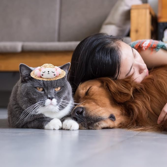 Wear-Resistant Decorative Pet Hat for Cat and Kitten Pink Summer | Raffia and Plush Build, Comfortable Fit with Reduced, Lovely Style for Halloween Photos