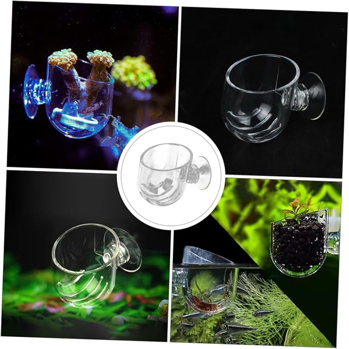 VALICLUD 2pcs Aquarium Fish Feeder Cups Acrylic Wall-Mounted Fish Food Dispensers for Tank Feeding Red Worm Bait Holder for Shrimp and Supplies
