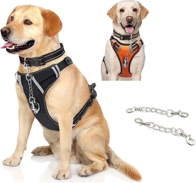 Dog Collar Safety Clip, 2 Pack Metal Clasp Double Ended Connector Prong Chew Dog Collar Clip Prong Collar Pet Harness Collar Connector Leash Necklaces Dog Strap for Dog Harness
